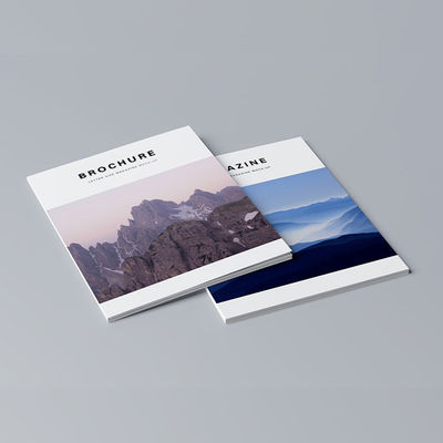 Luxus-Broschüren in Farbe, Werbeflyer, Buch, FDA-Zertifikat
