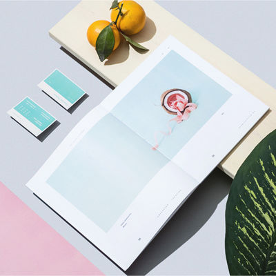 Luxus-Broschüren in Farbe, Werbeflyer, Buch, FDA-Zertifikat