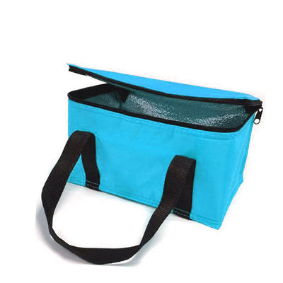 OEM Custom Printing Soft Isolated Cooler Bag 21*13*14 Cm mit 4L 16L 32L Kapazität