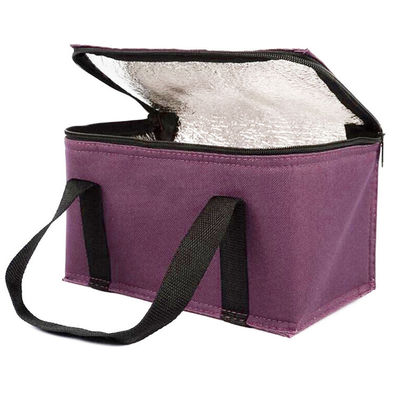 OEM Custom Printing Soft Isolated Cooler Bag 21*13*14 Cm mit 4L 16L 32L Kapazität