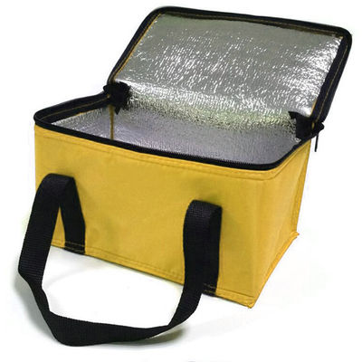 OEM Custom Printing Soft Isolated Cooler Bag 21*13*14 Cm mit 4L 16L 32L Kapazität