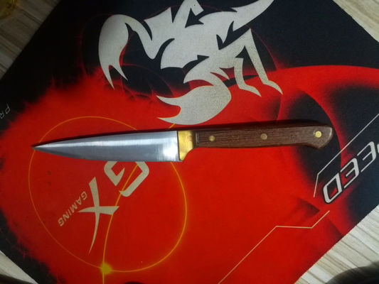 Trüffel Rasierer Foie Gras Messer Käse Messer mit Rosenholz Griff kann Logo drucken